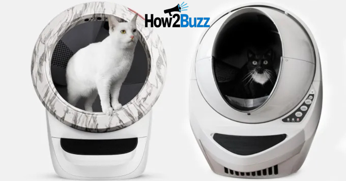 litter robot 3 vs 4